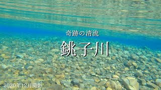 【水中映像】Choshigawa Blue　冬の銚子川の水中を見てみよう　奇跡の清流〜三重県紀北町〜