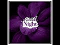 Pleasant Night|  Special Night| Happy Night| #gogetterlandshorts| #gogetterland