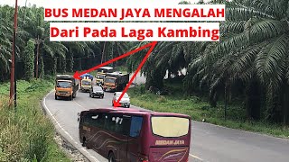 Menghindari Tabrakan.Bus Medan Jaya Mengalah‼️Barang penumpang bus Candra Terjatuh