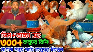 ডিম+বাচ্চা সহ ৩০০ কবুতর কিনুন মাগনা দামে দামি কবুতর রেসার বোম্বাই#মাগনা_দামে_কবুতর_কিনুন