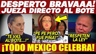 ¡TODO MÉXICO CELEBRA! DENUNCIAN A JUEZA ¡PRESIDENTA LA PONE EN SU LUGAR! ELECCION JUECES NO SE FRENA