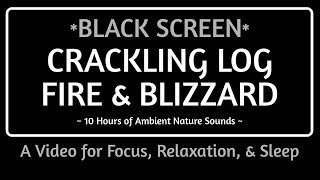 BLACK SCREEN CRACKLING LOG FIRE & BLIZZARD SOUNDS: 10Hr Nature Sounds for Focus, Relaxation, & Sleep