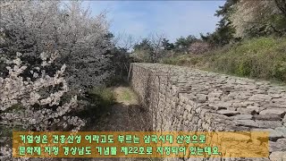 [거창한 홍보기자단]운동의 시작은 걷기부터, 거창의 명산 건흥산에 가다_조진휘