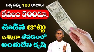 ఒక్క పప్పు 100 లాభాలు కేవలం 500/- చాలు ఊడిన ఒత్తుగా వస్తుంది | Dr Manthena Satyanarayana Raju