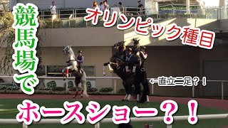 【オリンピック種目】競馬場で行われたホースショーを見てきた！(アンダルシアンホースショー)