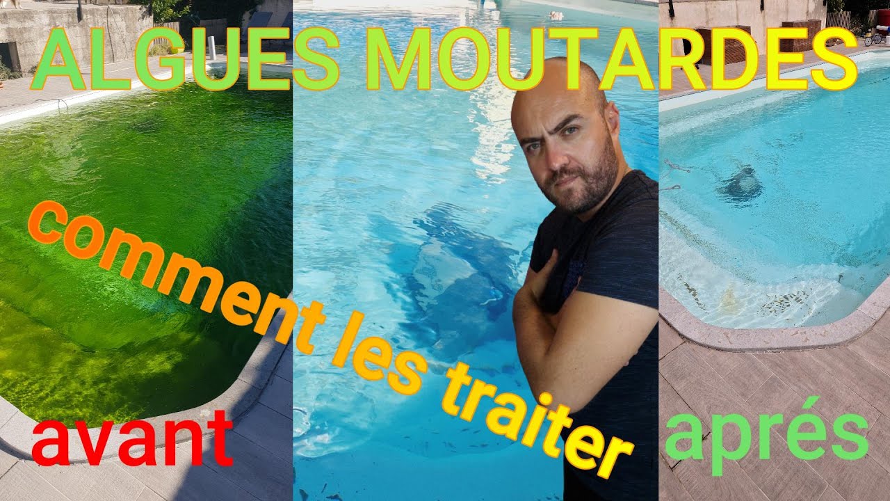 Comment Traiter L'algue Moutarde ! TRAITEMENT EN 72H - YouTube