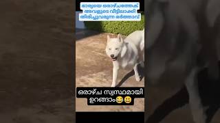 ഭാര്യയെ വീട്ടിലാക്കി തിരിച്ചുവരുന്ന ഭർത്താവ് 😂 #husband#wife funny#comedy#video#Malayalam#reals