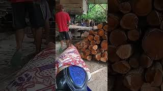 belah balok kayu sawmill