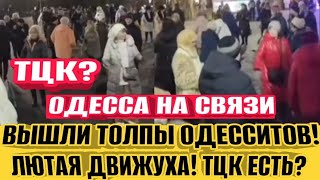 ТЦК ЕСТЬ? ОДЕССА 15.02. НАЧАЛОСЬ! ВЫШЛИ ТОЛПЫ ЛЮДЕЙ! ЛЮТЫЙ ДВИЖ! СОБАЧИЙ БАЗАР!