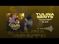 Tulina Sente by Tsunami Beek ft Dj Aval