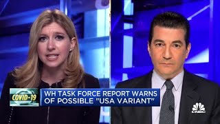 Fmr. FDA chief Dr. Scott Gottlieb discusses potential Covid 'USA variant'