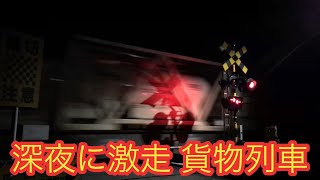 2020.11.14 宇都宮線を行き交う 深夜の貨物列車 19本