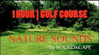 1 HOUR of Nature Sounds | Golf Course | RELAX/SLEEP/CONCENTRATE