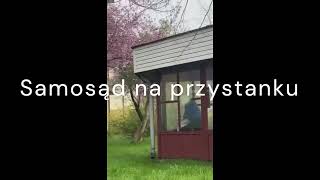 Samosąd na przystanku