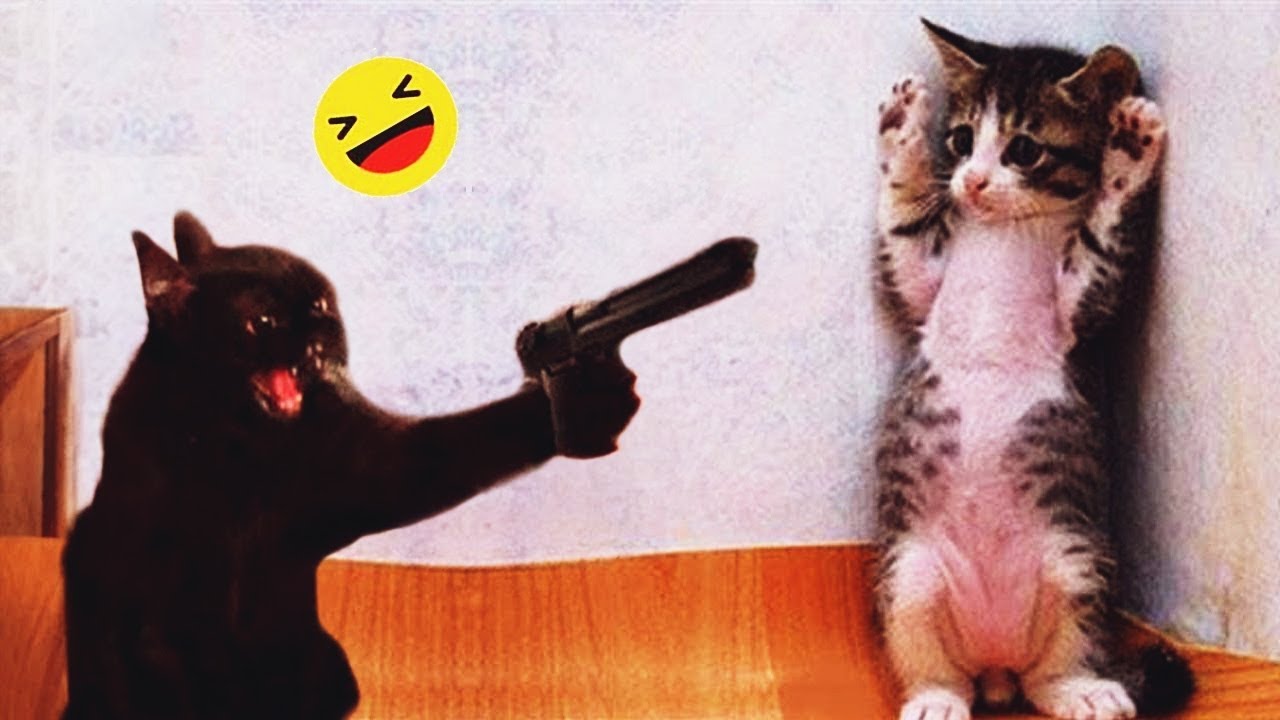 ёэршёэриёэро ёэрлёэръёэроёэраёэрб ёэршёэриёэро ёэрлёэриёэрмёэрю ёяшвёящаёяш ёэреёэроёэрзёэрзёэрвёэрю