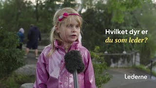 Hvilket dyr er du som leder?