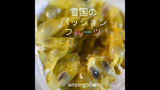 雪国のパッションフルーツ【あんしんごはん畑ch】#Shorts