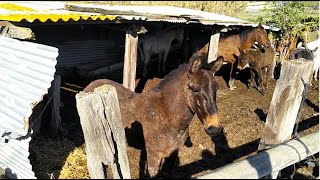 Как выглядит село в Испании.