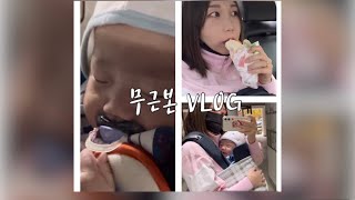 무근본 VLOG_맥도날드 드라이브스루 이용,이마트 트레이더스다녀오기