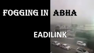 FOGGING IN ABHA | EADILINK