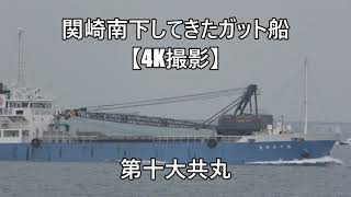 関崎南下してきたガット船【4K撮影】第十大共丸