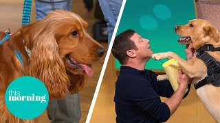 The Dogfather Shows Us How to Train Your Pandemic Puppies | This Morning