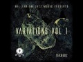 MJM075: TekHedz - Variations vol.1