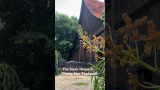 The Black House! #thailand #travel #shortsvideo