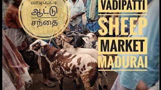 வாடிப்பட்டி ஆடு சந்தை || VADIPATTI SHEEP MARKET || MADURAI