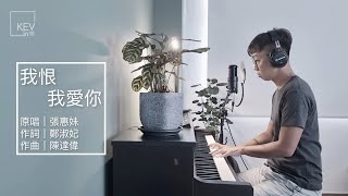 張惠妹 A-mei 《我恨我愛你 Hate That I Love You》 - KEV cover