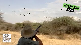 A Bird Hunter's Safari