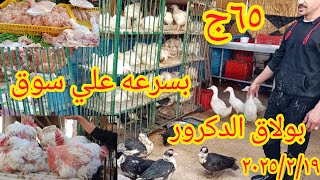 #أسعار الطيور انخفاض قوي في الاسعار ٢٠٢٥/٢/١٩ بط 🦆فراخ اسماك🐠 يا بخت اللي راح 🏃 ارخص سوق في مصر