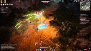 Black Desert Online Tamer VS Ranger @1440p