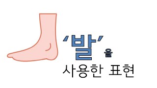 한국의 재미있는 표현 #17 발을 사용한 표현