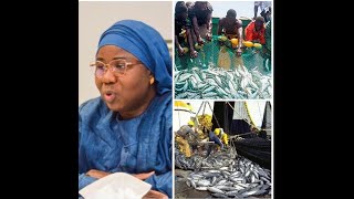 (WOLOF): Non renouvellement des accords de pêche avec l'UE: Dr Fatou Diouf rétablit la vérité