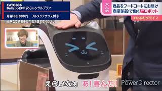 イオンモール上尾店で働く案内ロボットCATBO36がテレビで紹介されました【ジャロックホールディングス】#ロボット #配膳ロボット #ネコ型ロボット