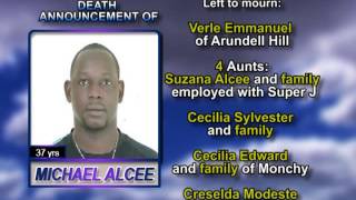 Michael Alcee long 1