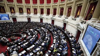 Sesión en Diputados por la suspensión de las PASO