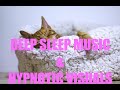 Music Therapy - Autogenic Training { Melatonin Sleep Music }