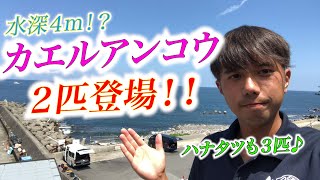 【カエルアンコウ登場！】水深４mの超近場に大物発見！？水中撮影隊出動！土砂降り後も良い海です♪