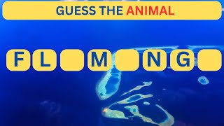 GUESS THE ANIMAL WITHOUT VOWELS, \