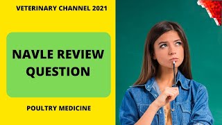 NAVLE REVIEW QUESTION : POULTRY MEDICINE