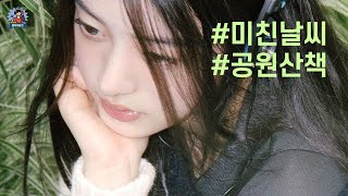 PLayLiST 🍦 날씨가 미쳤나봐! 산책할 때 듣기좋은 플레이리스트 | 상쾌한 날씨 가볍게 산책할 때 듣기좋은 기분 좋아지는 노래 모음