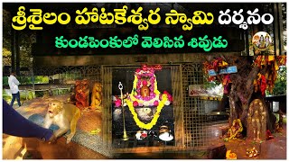 శ్రీశైలం హాటకేశ్వర స్వామి దర్శనం | హాటకేశ్వర స్వామి దేవాలయం | Hatakeswara swami Temple Srisailam