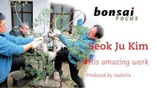 Korean bonsai master Seok Ju Kim