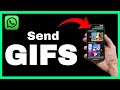 Add Some Fun: Learn How to Send GIFs in WhatsApp for More Expressive Chats!