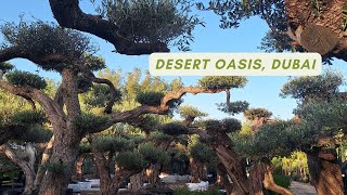 Desert Oasis Nursery | Largest plant nursery in UAE