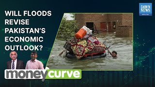 For how long will IMF provide 'technical assistance' to Pakistan? | MoneyCurve | Dawn News English