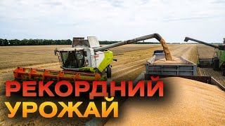 Цьогоріч на Вінниччині зібрали рекордний урожай