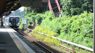 【通過動画】E257系2000番台特急踊り子4号城ヶ崎海岸駅通過